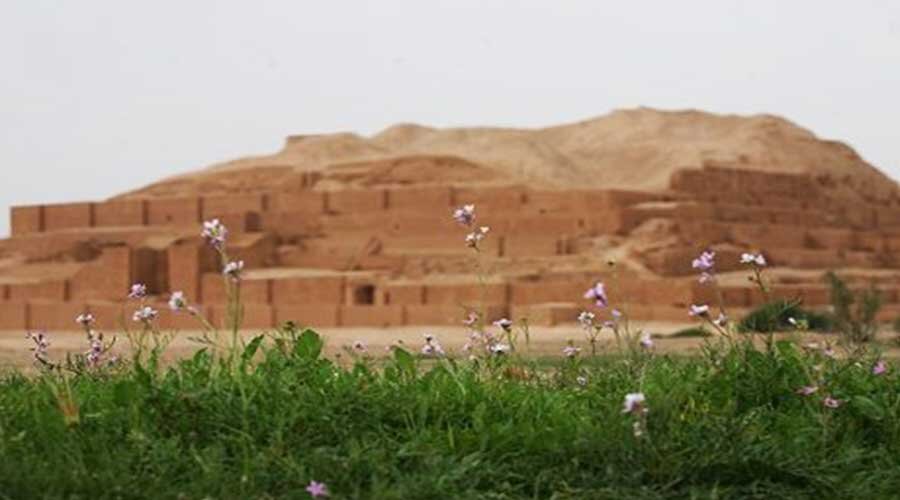 خماط