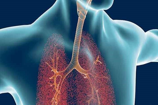 ارتباط حبس نفس با ریه‌های سالم و راه‌های افزایش حجم ریه
