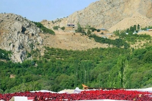 روستای هیر را بیشتر بشناسید