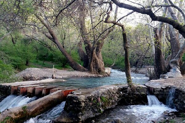 از گاماسیاب تا گیان؛ فرصت بزرگ نهاوند برای گردشگری بدون قربانی کردن منابع آب