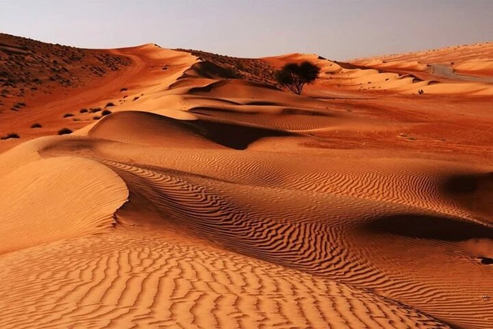 میراثی که زیر چرخ بی‌تدبیری پودر می‌شود؛ روایت انزوای جغرافیای جادویی کرمان