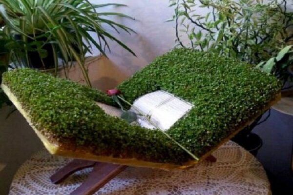 آموزش تهیه سبزه عید با خاکشیر