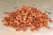 شکستن تخمه سبب ایجاد فاصله بین دندان‌ها می‌شود؟