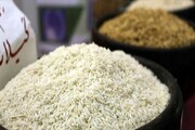 برنج ایرانی ارزان می‌شود