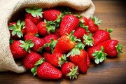 توت‌فرنگی، میوه محبوب ایرانی‌ها