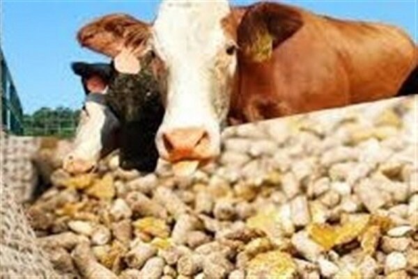 تامین نهاده‌های دامی تا پایان خرداد با ارز ۴۲۰۰ 