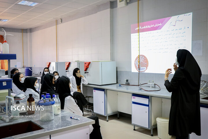 فعالیت آزمایشگاهی دانشجویان در رویداد گام دوم دانشگاه آزاد اسلامی قزوین