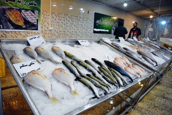 افزایش قیمت ماهی به کیلویی ۱۰۰ هزار تومان