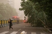 پیش‌بینی وزش باد شدید در تهران از ۱۴ تا ۱۷ فروردین