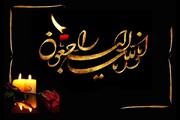 افسانه محمدی درگذشت + سوابق