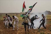 ۸۲ فلسطینی در درگیری با نظامیان رژیم صهیونیستی زخمی شدند