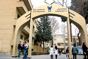 کارآموزی‌ دانشجویان پزشکی در ایران بهتر از خارج است/ فضاسازی مسموم علیه دانشجویان انتقالی در دانشگاه شکل می‌گیرد