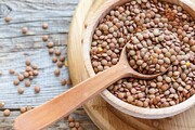خواص عدس در سلامت انسان