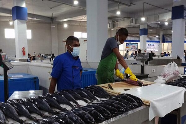قیمت انواع ماهی دوشنبه ۱۳ تیر ۱۴۰۱
