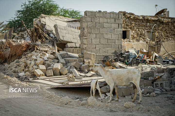 وضعیت مناطق زلزله زده هرمزگان دو روز پس از وقوع حادثه