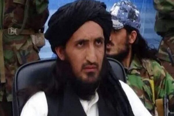 کشته شدن فرمانده ارشد طالبان پاکستان در افغانستان