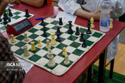 نایب‌رئیس فدراسیون شطرنج برکنار شد