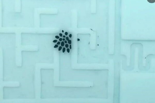 محققان از یک مایع مغناطیسی روبات ساختند + ویدئو