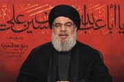 رسانه‌های عبری: نظریه دبیرکل حزب الله درباره رژیم صهیونیستی محقق شده است