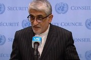 ایروانی: ایران استفاده از سلاح‌های شیمیایی را در هر جایی محکوم می‌کند