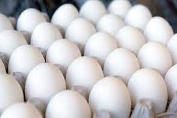 قیمت هر کیلوگرم تخم‌مرغ چند؟