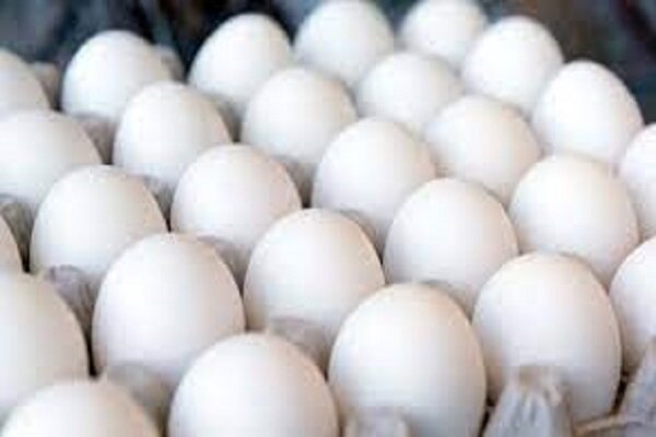 قیمت تمام شده هر کیلو تخم‌مرغ اعلام شد
