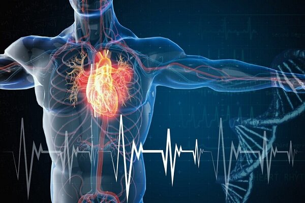 معرفی ۱۵ راهکار برای جلوگیری از سکته قلبی