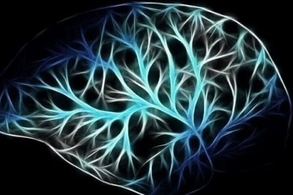 برای بهبود سیستم عصبی مغز چه باید کرد؟