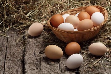 چگونه تخم‌مرغ‌ها را بدون شستن تمیز نگه داریم؟
