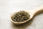 طب سنتی / تاثیر عصاره چای سبز بر کبد