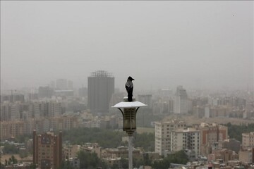 آمارهای نگران‌کننده از نقش آلاینده ازن در آلودگی هوای تهران / افزایش روزهای آلوده از یک روز به ۴۷ روز در ۶ سال