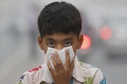 اثرات آلودگی هوا بر جسم