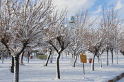 اولین برف زمستانی تهران + فیلم