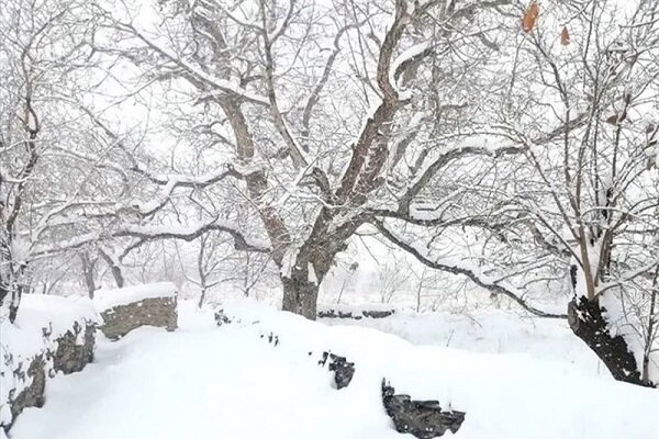 هواشناسی ایران/ برف و کولاک در ارتفاعات کشور

