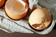 آیا تخم مرغ تاریخ گذشته هم قابل استفاده است؟