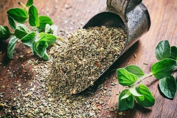 گیاهی موثر برای درمان اختلالات گوارشی و نفخ شکم