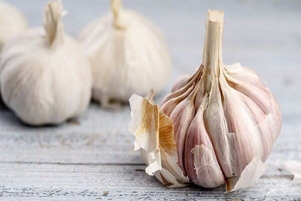 مصرف یک حبه سیر می تواند زندگی شما را نجات دهد