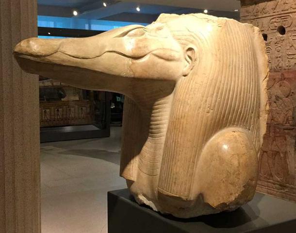 کشف تمساح‌های مومیایی در مصر