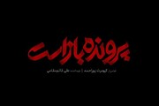معرفی فیلم‌های جشنواره فجر ۴۱ / پرونده باز است + عکس