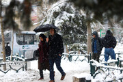 پیش‌بینی هفته برفی و بارانی برای تهران/ وزش باد شدید در راه است