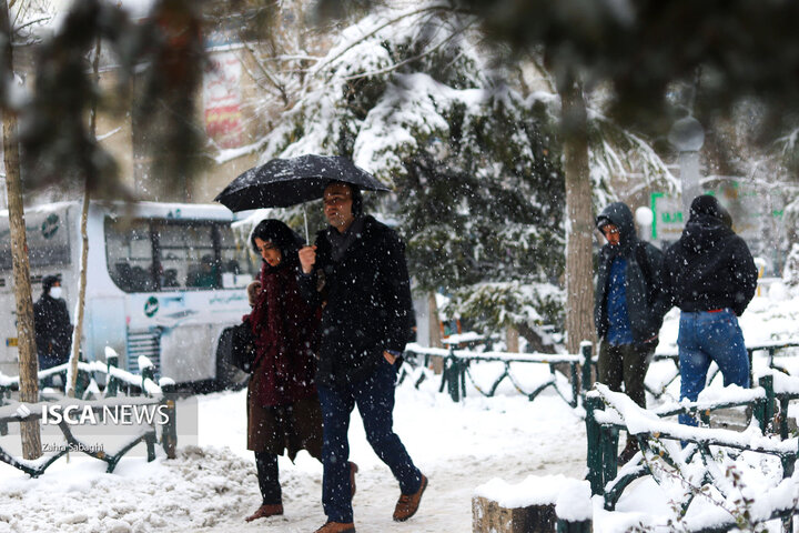 یک روز برفی در تهران