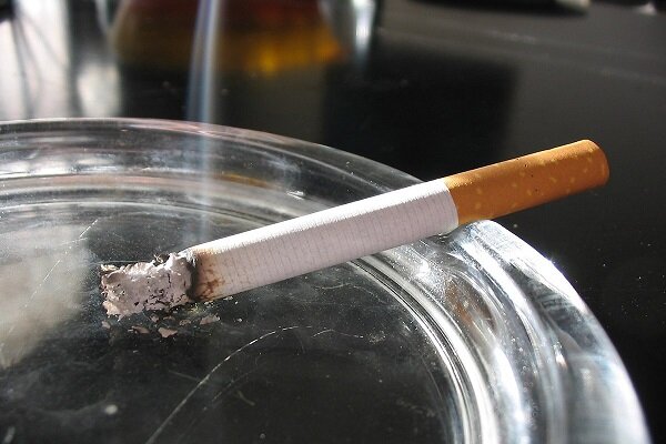 مواد سمی ته سیگار برای تمام جانداران خطرناک است