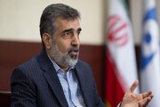 کمالوندی : ایران به دلیل مسائل انسانی اصلاً نمی‌تواند دنبال سلاح هسته‌ای باشد