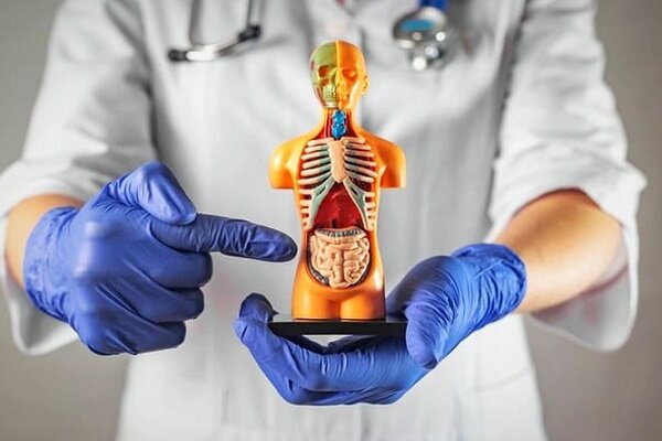 علائم ابتلا به ویروس‌ جدید گوارشی