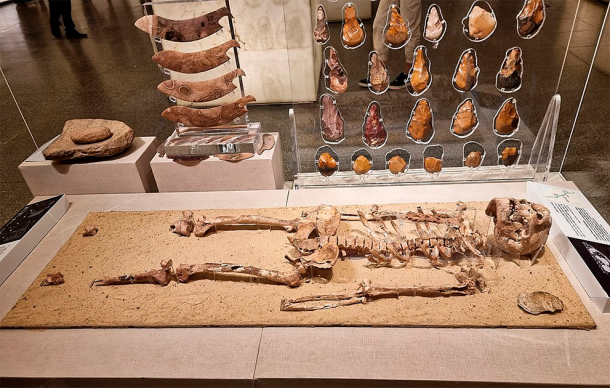 دانشمندان قدیمی‌ترین انسان خردمند مصر را بازسازی کردند
