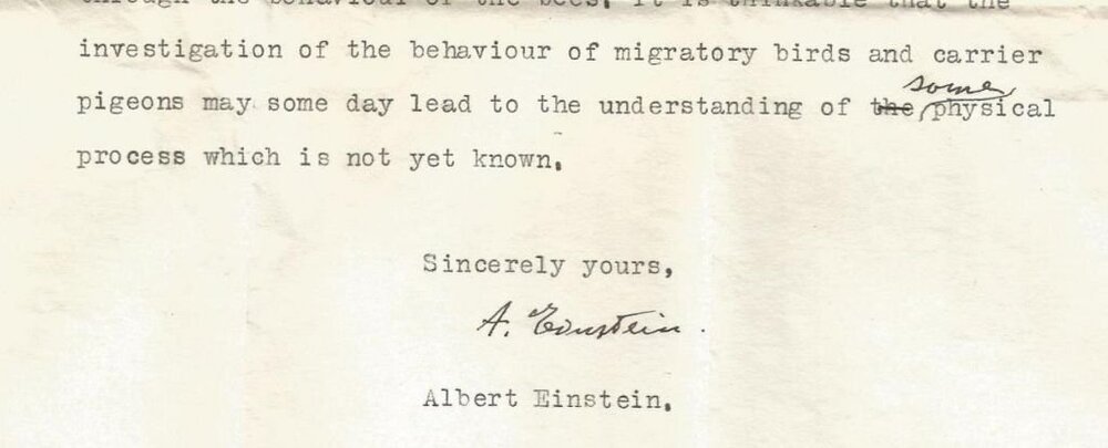 اینشتین سال‌ها پیش در مورد ابرحواس حیوانات می‌دانسته 