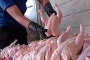 برنامه کاهش قیمت مرغ کلید خورد