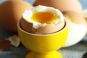 خوردن روزانه یک عدد تخم مرغ چه فایده‌ای دارد؟