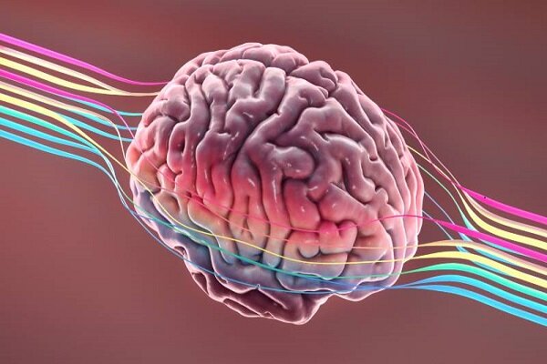 امواج صوتی داروهای شیمیایی را از سد مغز عبور داد