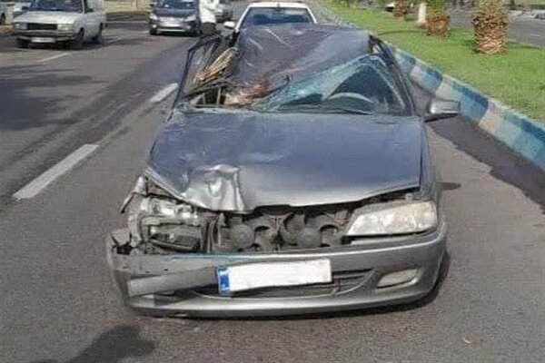  تصادف خودروی پژو با اسب باعث مرگ راننده شد 
